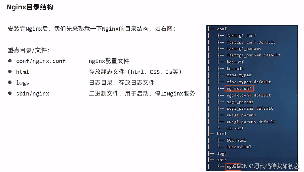 查看Nginx的workprocess 查看nginx的版本命令linux_服务器_02