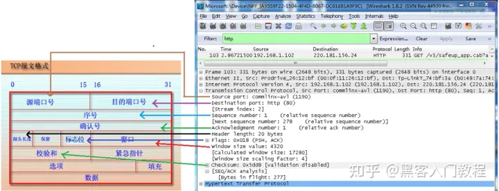 wireshark 抓包docker服务 wireshark抓包全集_服务器_19