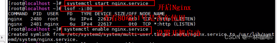 nginx部署的前端页面地址怎么看 nginx 前端部署_运维_03