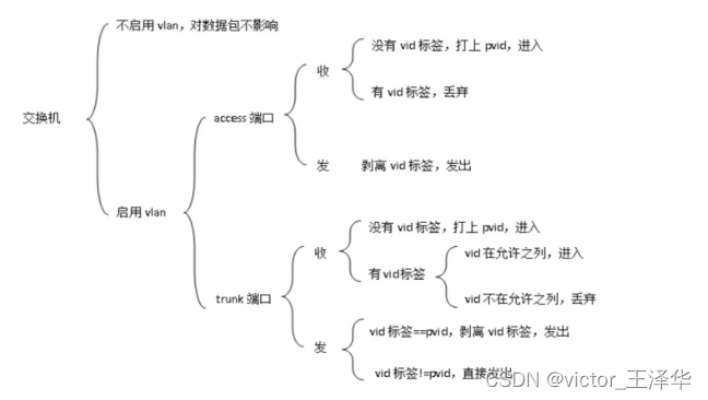 acces和trunk的区别 trunk与access_网络