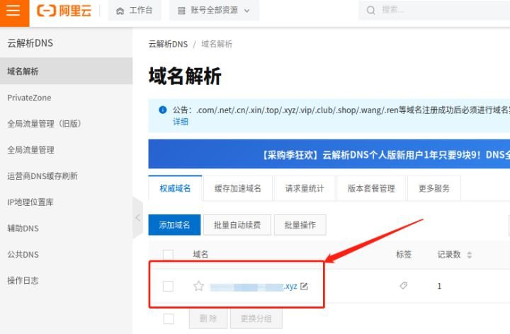 wordpress内网穿透 https 内网穿透_DNS_02