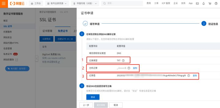 wordpress内网穿透 https 内网穿透_DNS_05