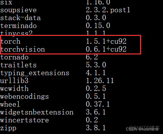 cuda 运行python cuda9.1 pytorch_虚拟环境_12