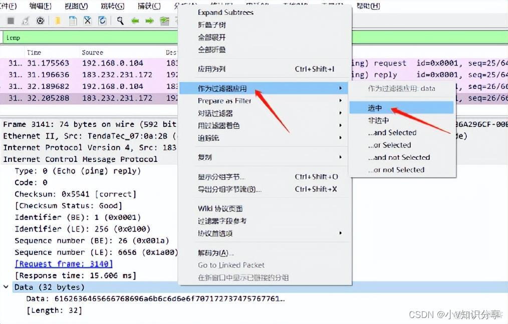 wireshark 使用 wireshark使用及终端注册流程_测试工具_32