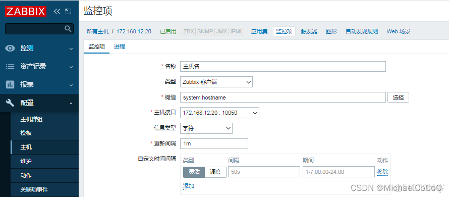 zabbix 监控项 间隔 zabbix监控项自定义时间间隔_服务器