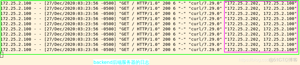 nginx 打印 toa ip nginx 打印返回 日志_运维_28