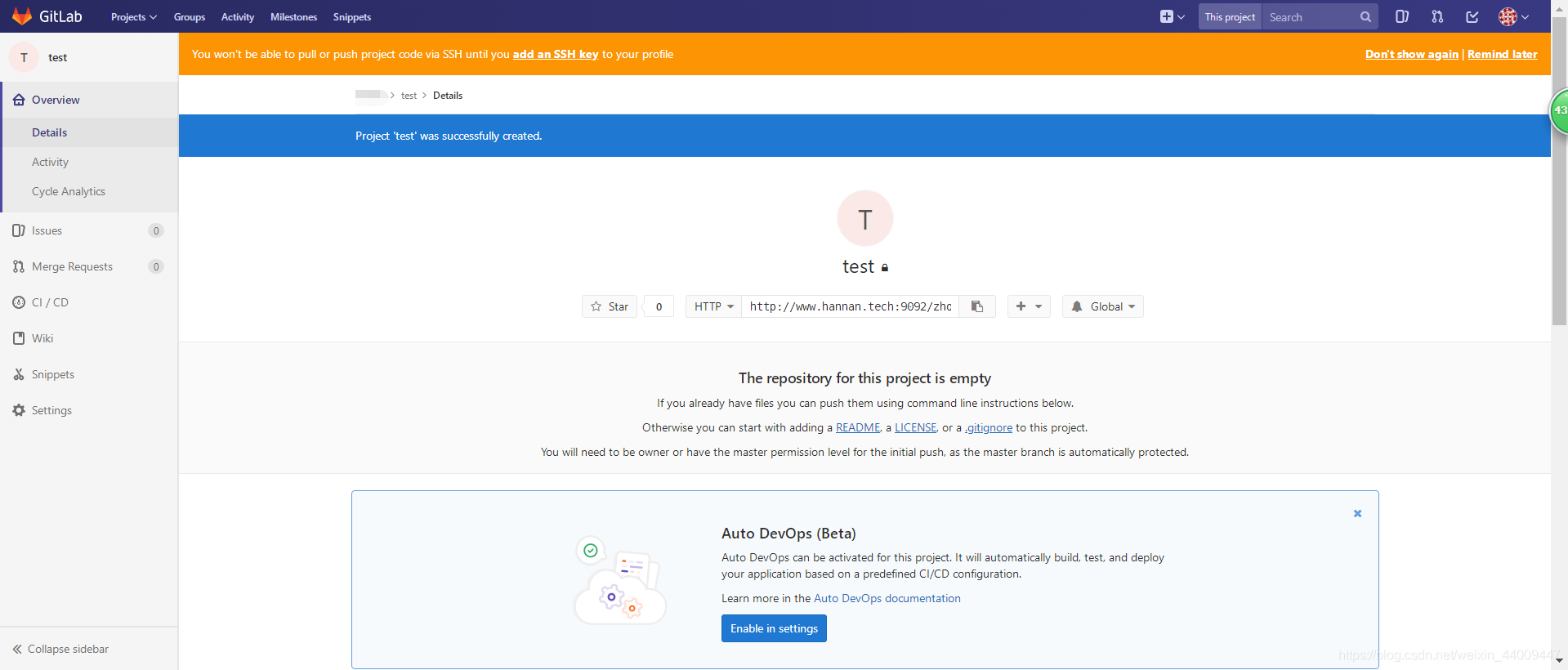 从gogs 导入到 gitlab git提交到gitlab_上传_03