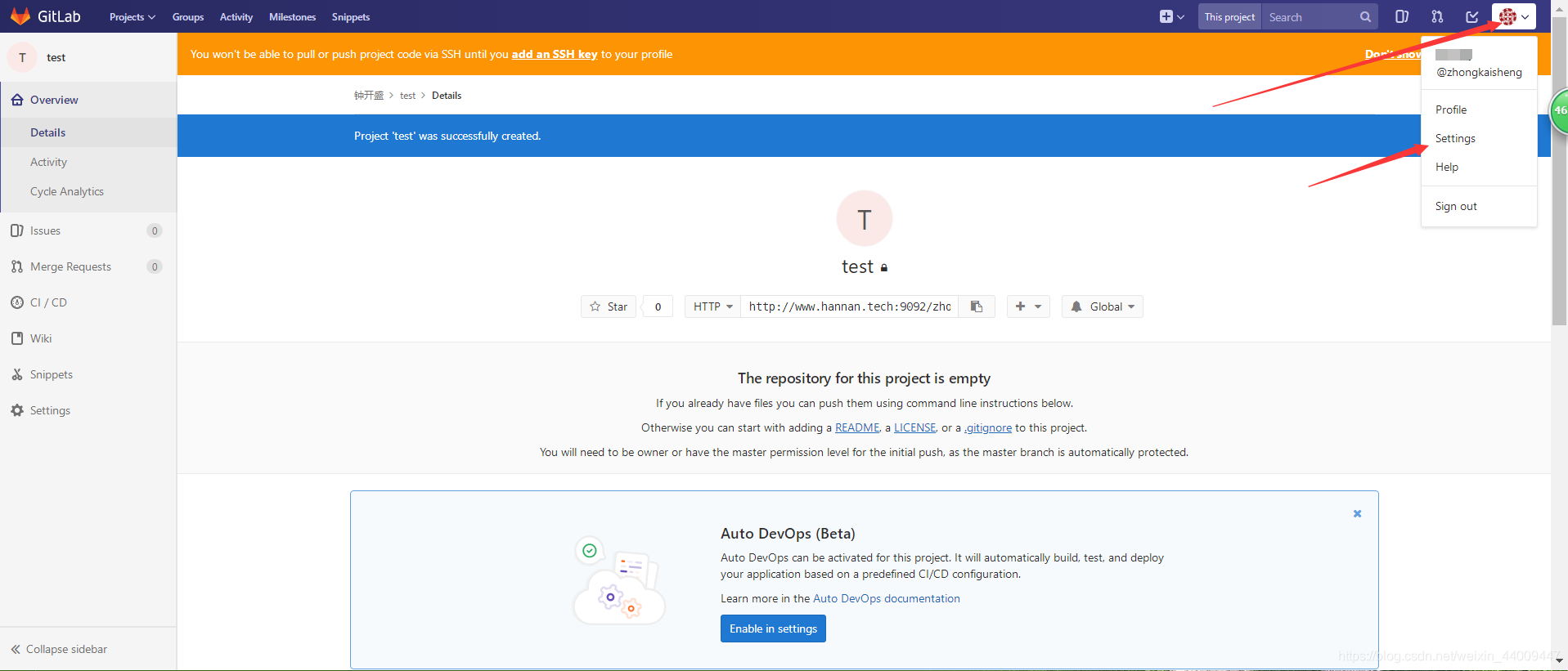 从gogs 导入到 gitlab git提交到gitlab_从gogs 导入到 gitlab_11