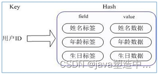 redis查出的string怎么转为对象 redis中string类型命令_数据结构_06