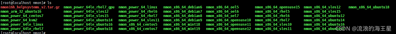 apm dpm npm 监控 nmon监控工具_r语言_02