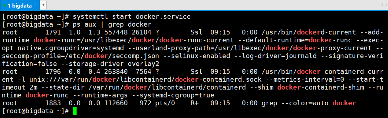 centos7 进入docker0网卡 centos开启docker_大数据_05