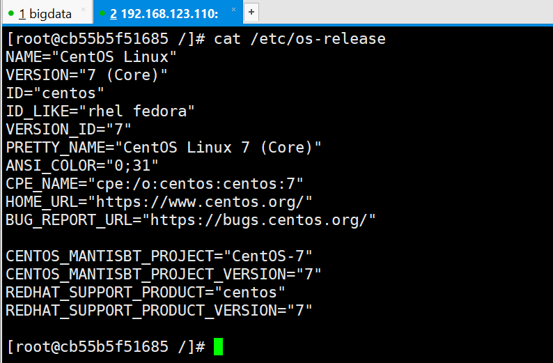 centos7 进入docker0网卡 centos开启docker_运维_13