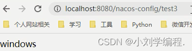 若依springcloud nacos 本地测试 springcloud nacos config_微服务_14