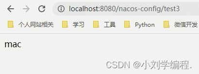 若依springcloud nacos 本地测试 springcloud nacos config_spring cloud_18