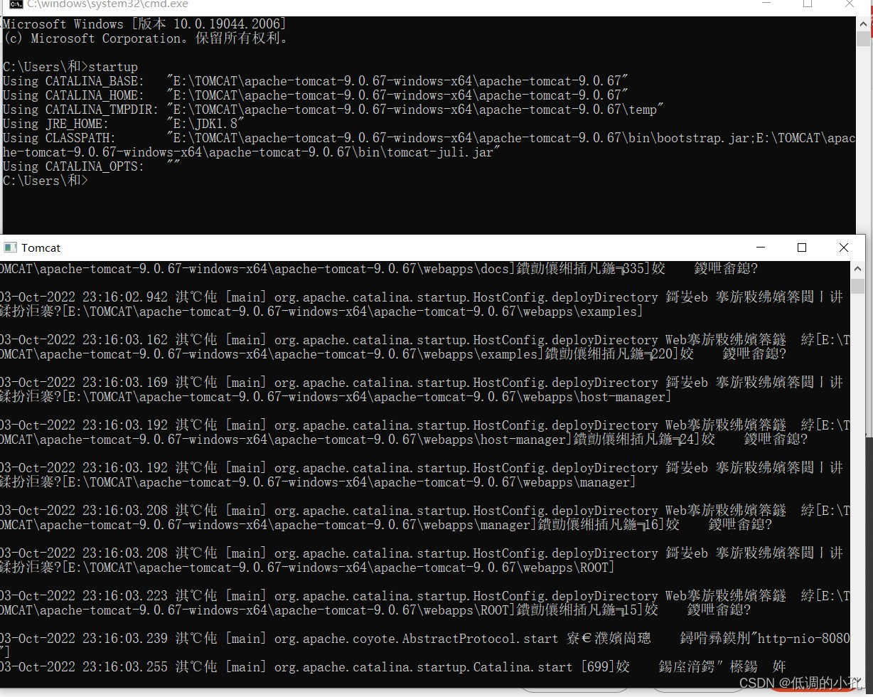 如何查看有没有安装openCV 如何查看有没有安装tomcat_ide_11