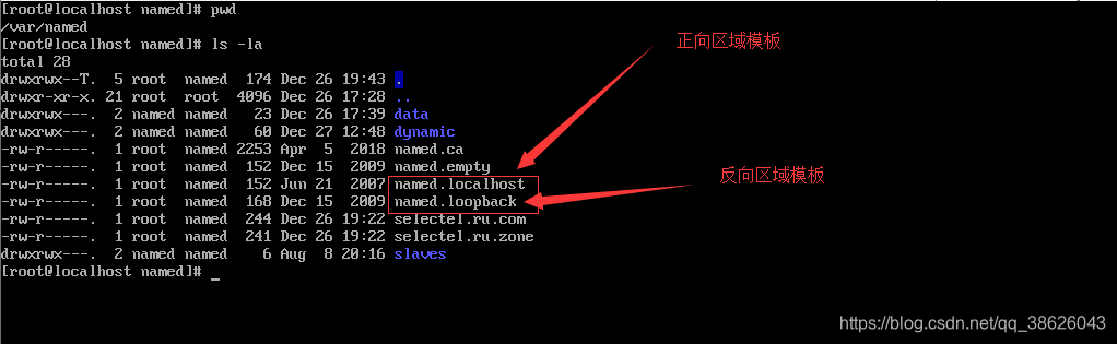 centos查看dns设置 centos 查询dns