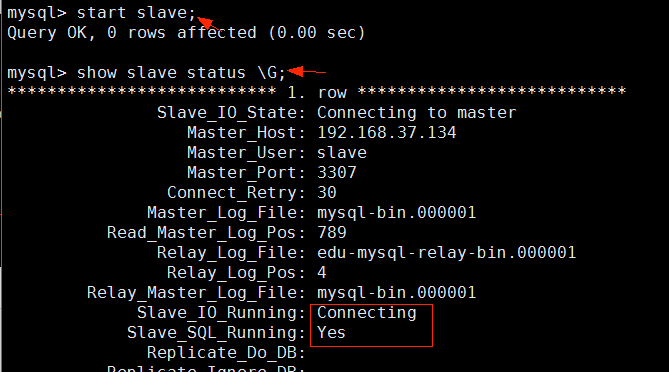 docker部署mysql 主从配置 docker部署mysql集群_数据库_12