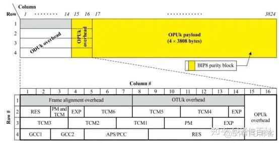 iotop 实际速率 otn的速率等级_数据_05