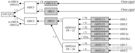 iotop 实际速率 otn的速率等级_数据_13