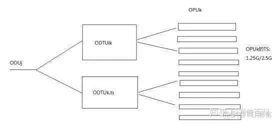 iotop 实际速率 otn的速率等级_数据_16