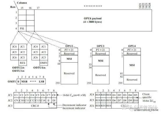 iotop 实际速率 otn的速率等级_iotop 实际速率_25