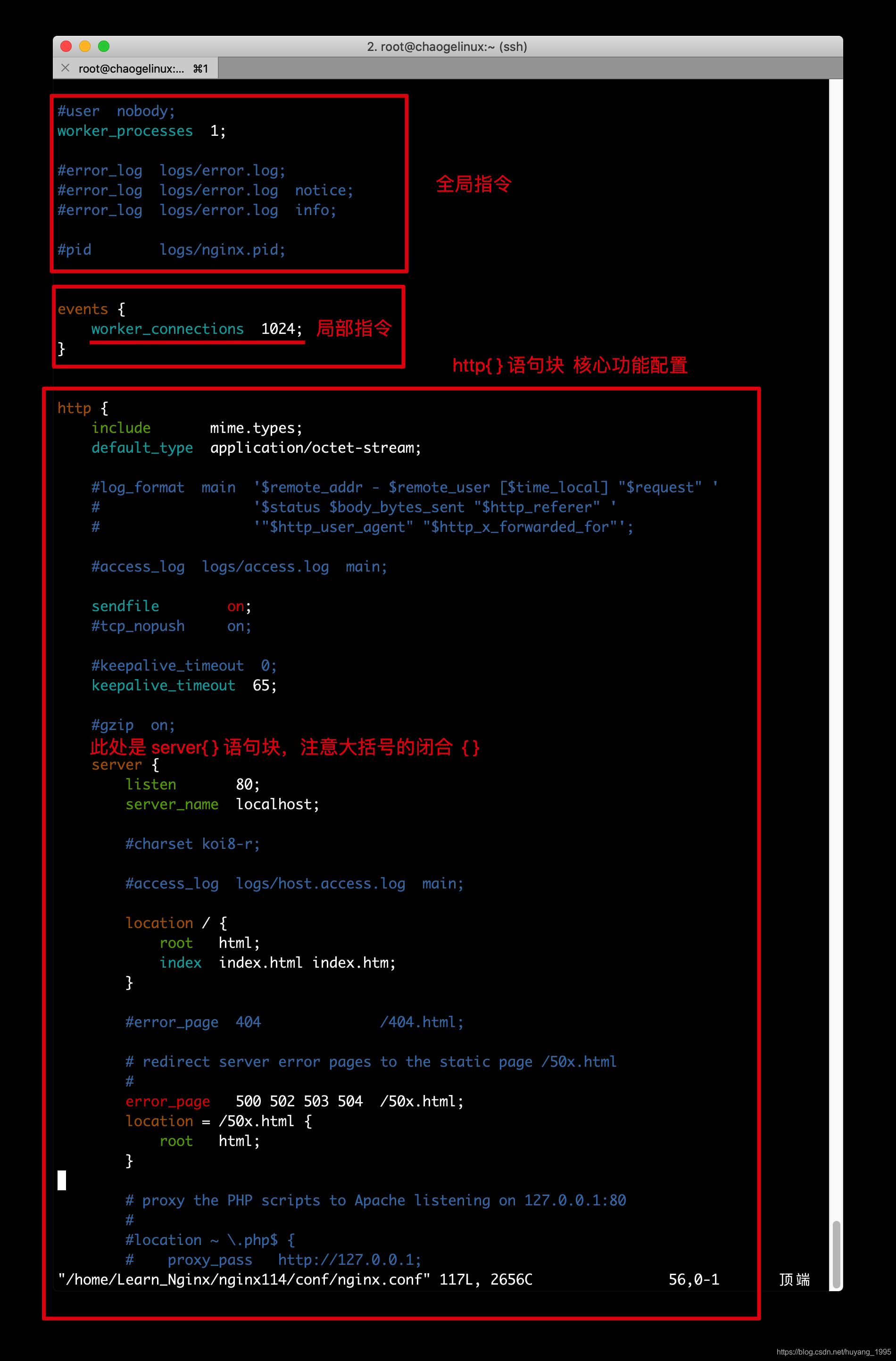 nginx配置文件语法 nginx指定配置文件_配置文件_02