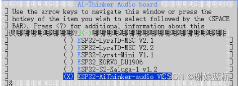 esp32 udp 广播 esp32 audio_Software_11