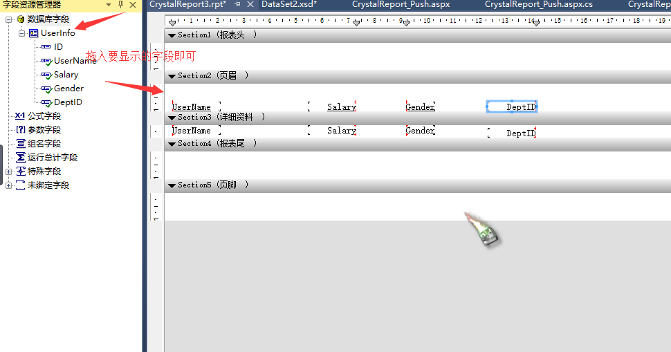 水晶报表database access error 水晶报表软件_Web_35