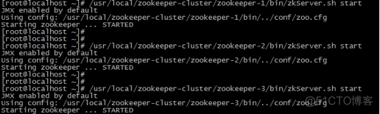 zookeeper 部署启动 zookeeper安装启动_java_05