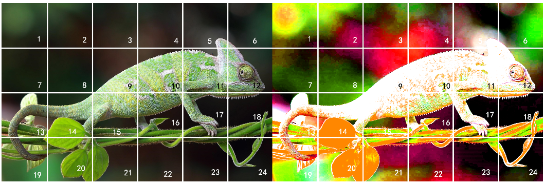 pytorch 图像DCT变换 pytorch中transform_pytorch 图像DCT变换_15