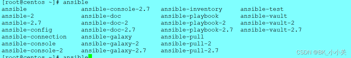 ansible命令 指定端口 ansible命令参数_ansible命令 指定端口