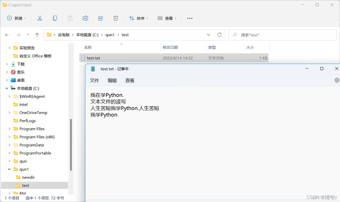 python 项目格式 python项目文档_文本文件_10