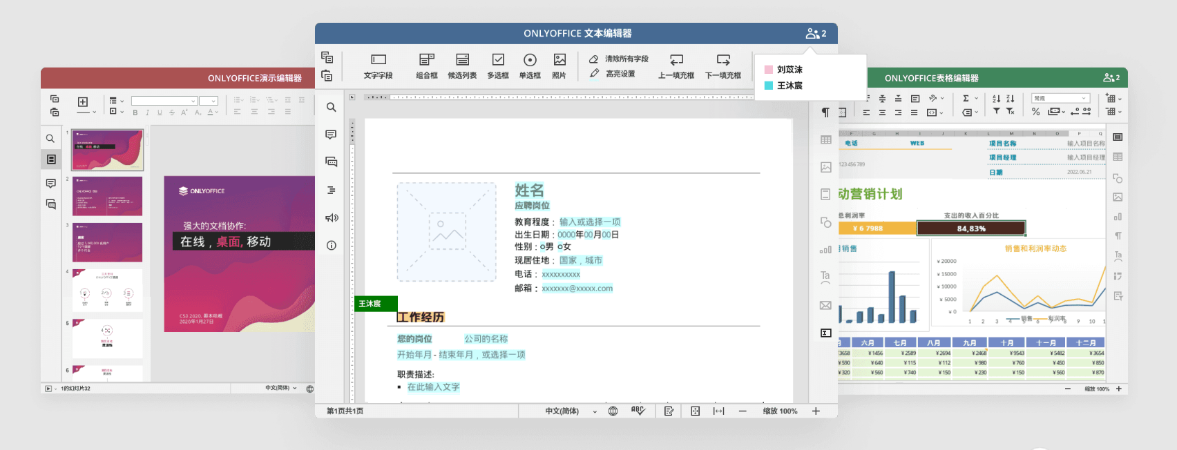 onlyoffice 集成到springboot vue项目中 onlyoffice 开源_表单_09