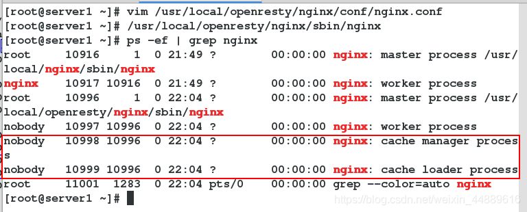 Nginx 重定向无效 nginx302重定向_nginx_18