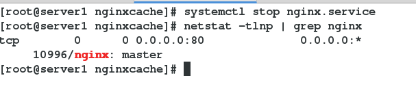 Nginx 重定向无效 nginx302重定向_Nginx 重定向无效_23