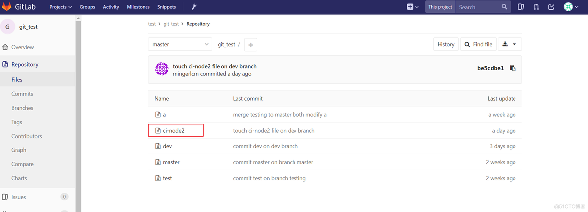 gitlab 禁止public项目 gitlab protected branch_git_09