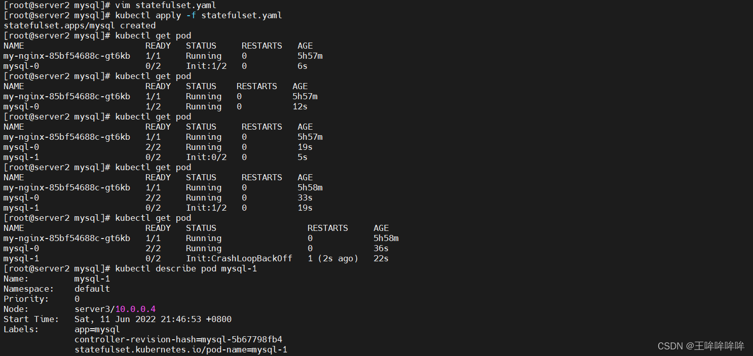 k8s指定容器ip k8s statefulset 固定ip_kubernetes_33