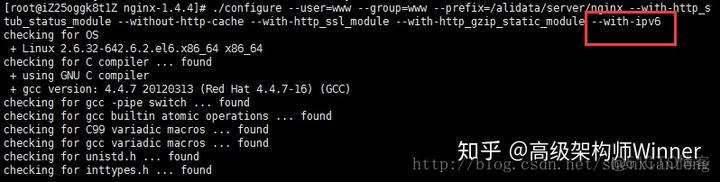 nginx 默认支持ipv6和ipv4 nginx怎么支持ipv6_nginx 默认支持ipv6和ipv4_06
