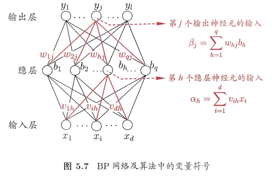 神经网络 神经元和网络层的关系 神经网络与神经元_神经网络_07