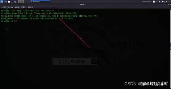 kali如何用python kali如何用命令查看端口_kali如何用python_12