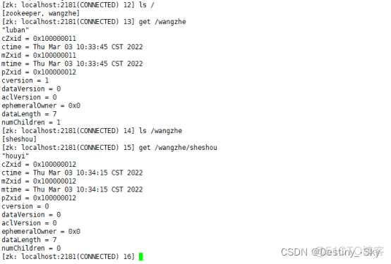 zookeeper心跳检测机制 zk客户端心跳机制_zookeeper_06