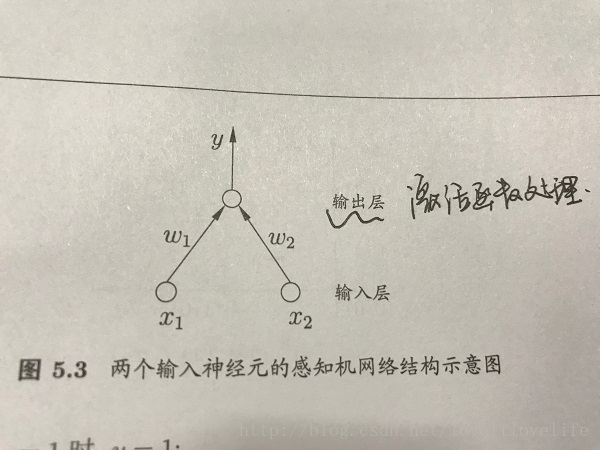 神经网络神经元个数是什么 神经元网络系统_感知机_03