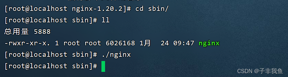 linux安装espeak linux安装nginx详细步骤_Nginx_11