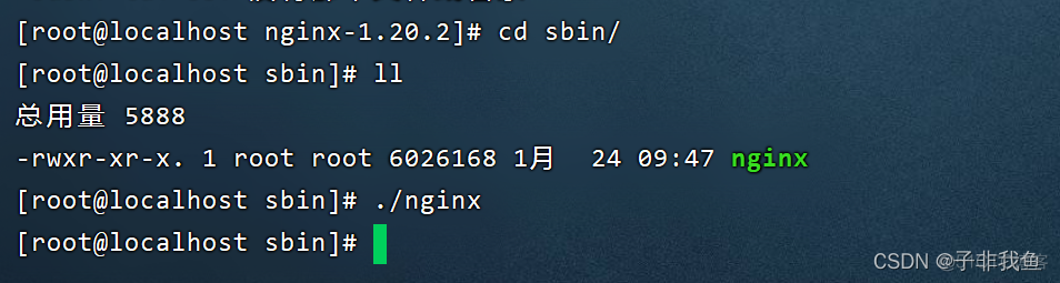 linux安装espeak linux安装nginx详细步骤_服务器_11