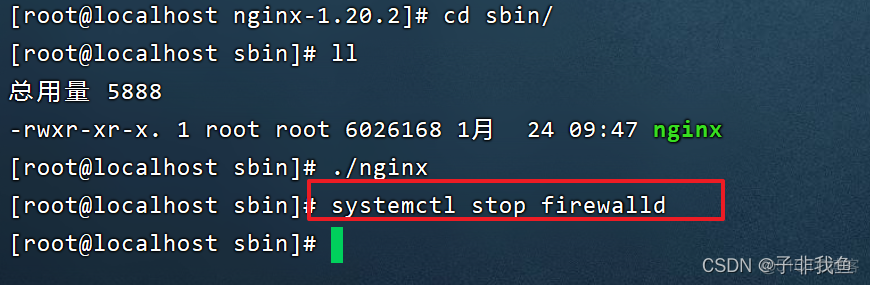 linux安装espeak linux安装nginx详细步骤_服务器_13