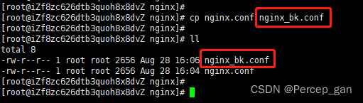 linux docke里装nginx linux安装nginx命令_Nginx_22