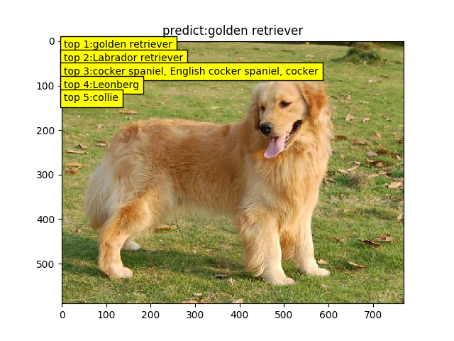 如何在resnet中可视化输出 resnet shortcut_卷积