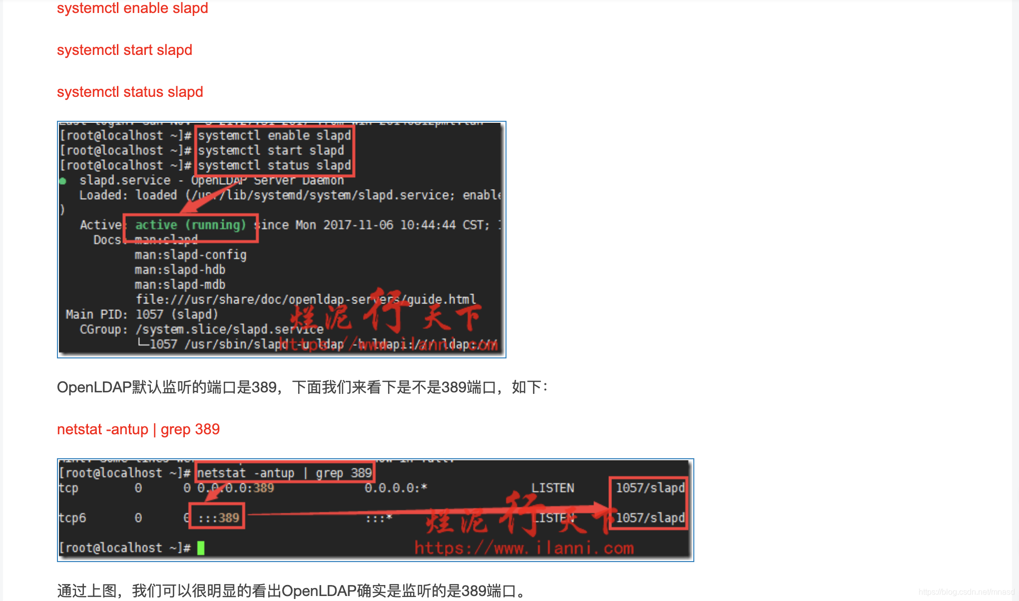 ldap关闭tls ldap ldaps_数据库_05