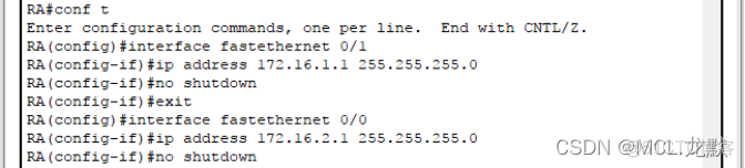 ospf配置实验 ospf配置实验目的_服务器_03