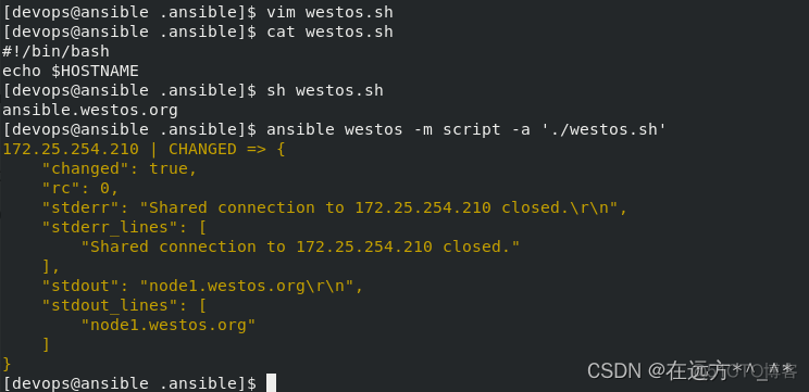 ansible keepalive单播 ansible -v_计划任务_16